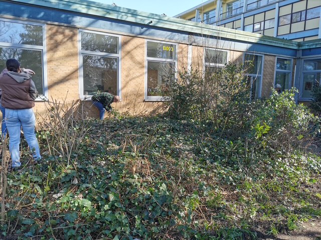 2025_03_10_Garten 3.jpg
